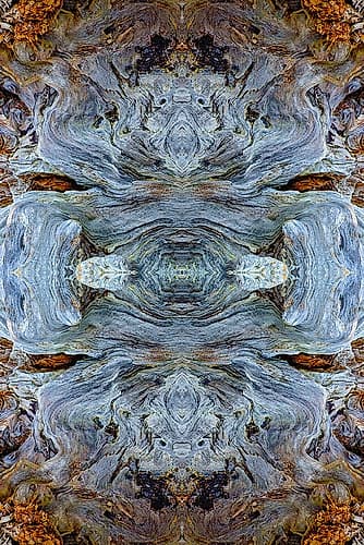 Abstract pattern in driftwood-Bandon Beach-Oregon Beach Print